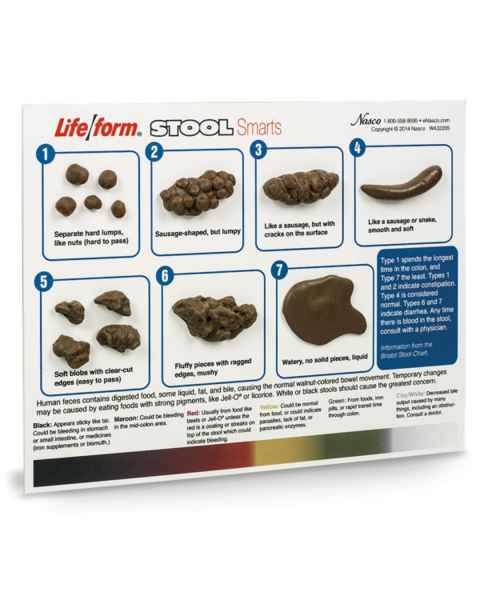 Life/form Stool Smarts Model