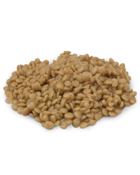 Life/form Lentils Food Replica