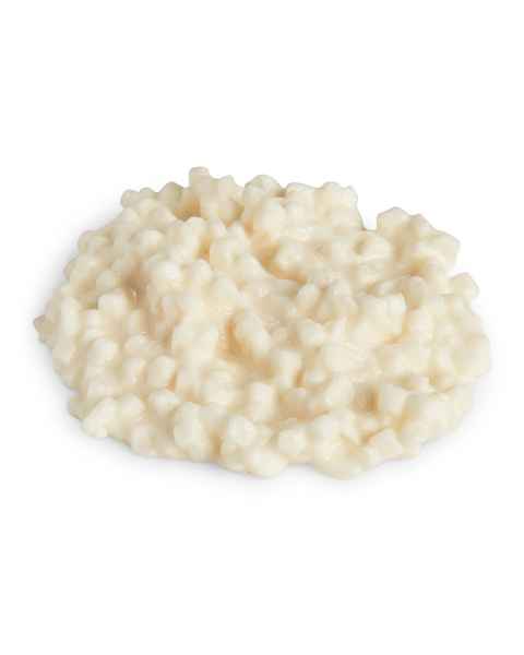 Life/form Cottage Cheese Food Replica - 1/2 Cup