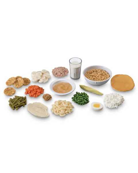 Life/form Finger Food Replica Kit