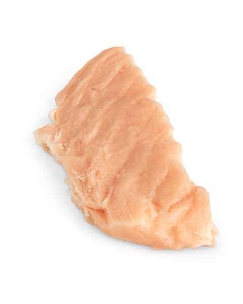 Life/form Salmon Food Replica - Poached