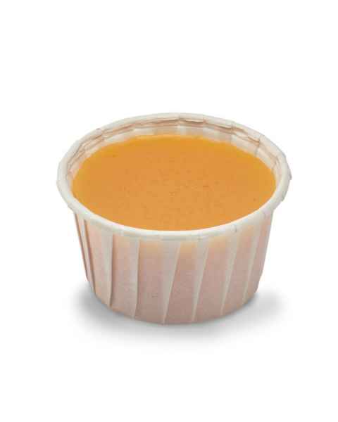 Life/form Cheese Dip Food Replica