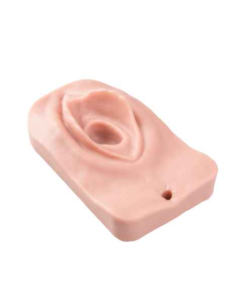 Replacement Set For Episiotomy Trainer