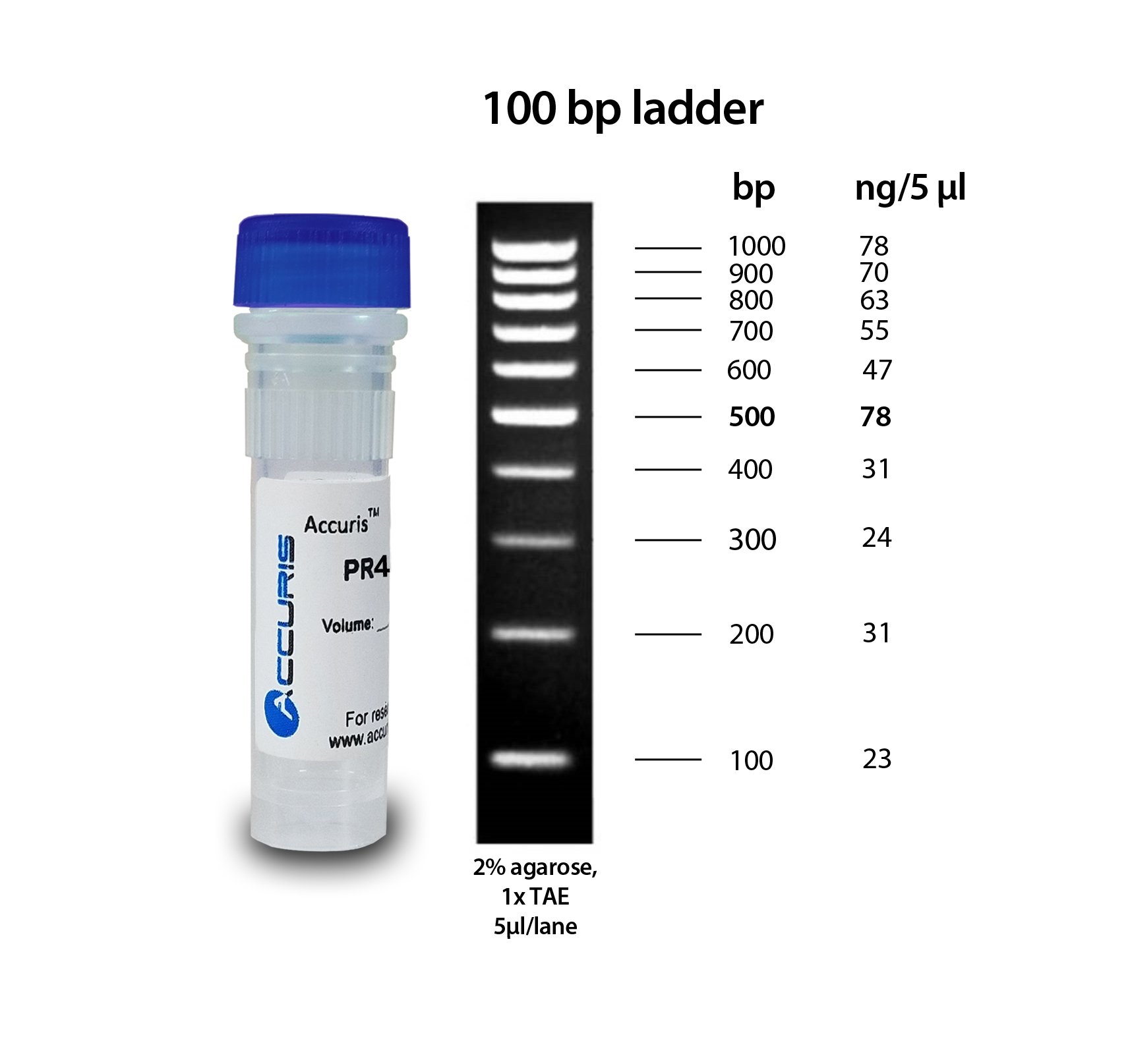 Accuris SmartCheck 100bp DNA Ladder, 500ul / 100 lanes 