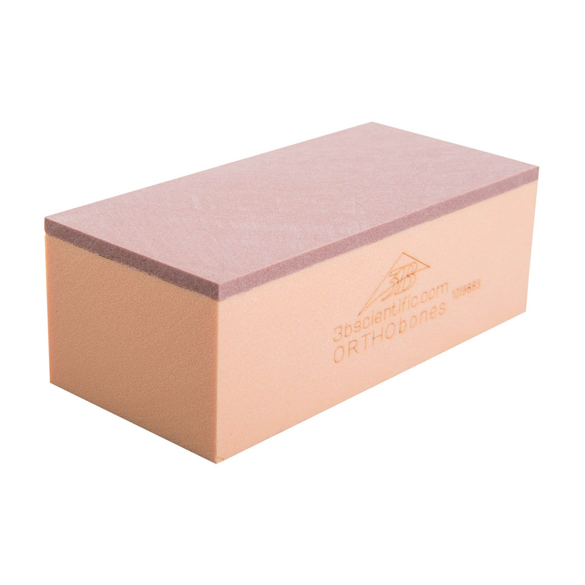 3B Scientific ORTHOBone Biomechanical Test Block 30 PCF