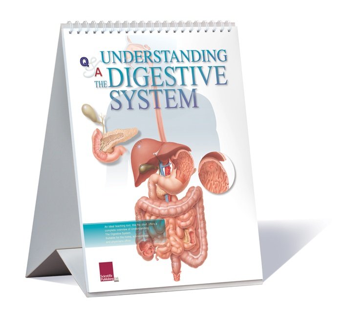 Scientific Publishing 1500F Understanding The Digestive System