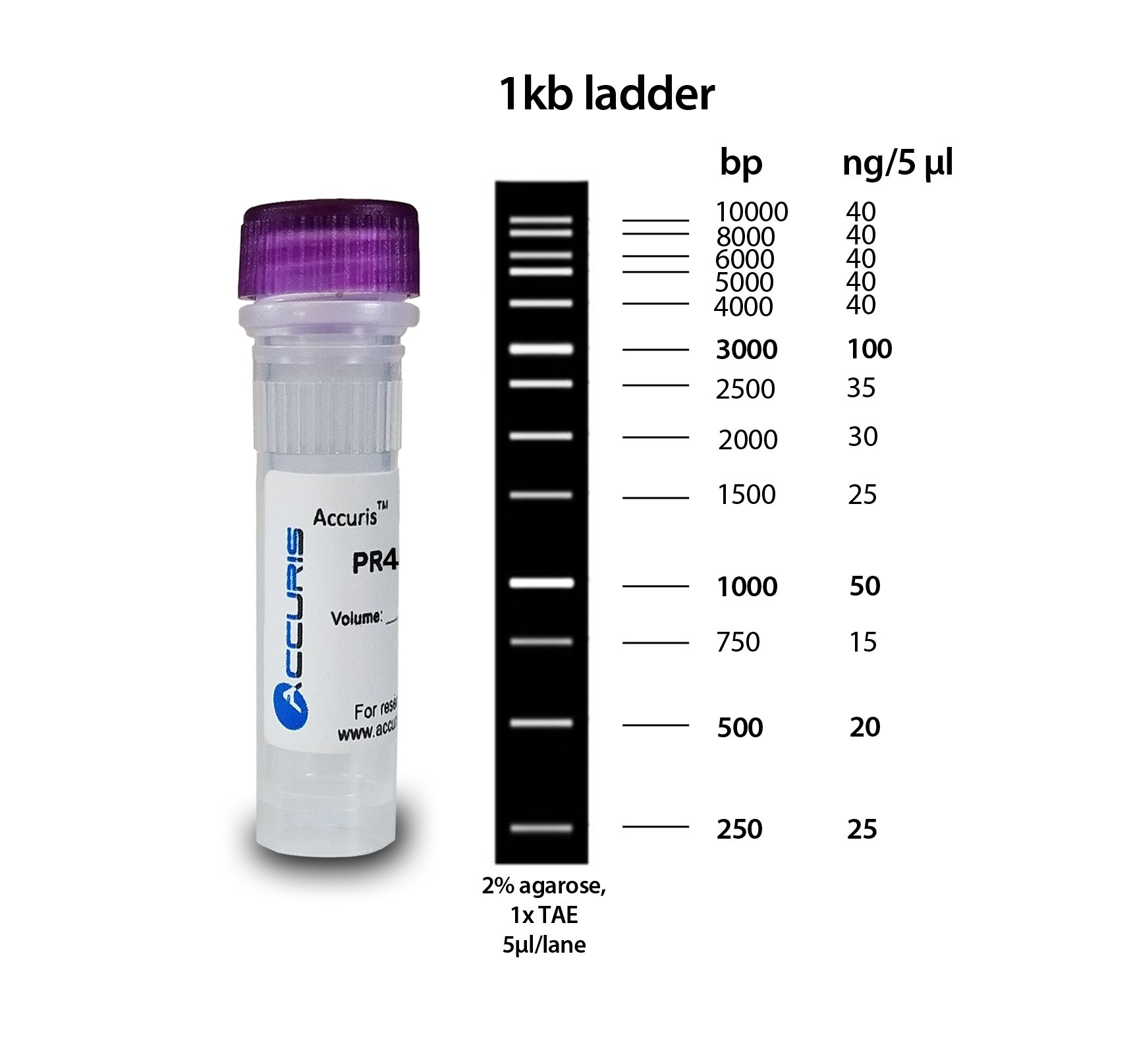 Accuris SmartCheck 1kb DNA Ladder, 500ul / 100 lanes