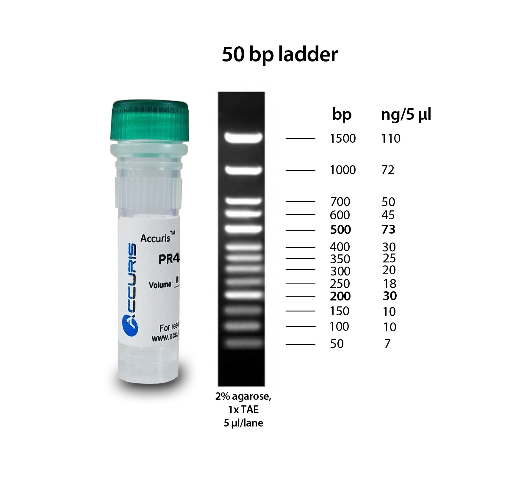 Accuris SmartCheck 50bp DNA Ladder, 5 x 500ul / 500 lanes