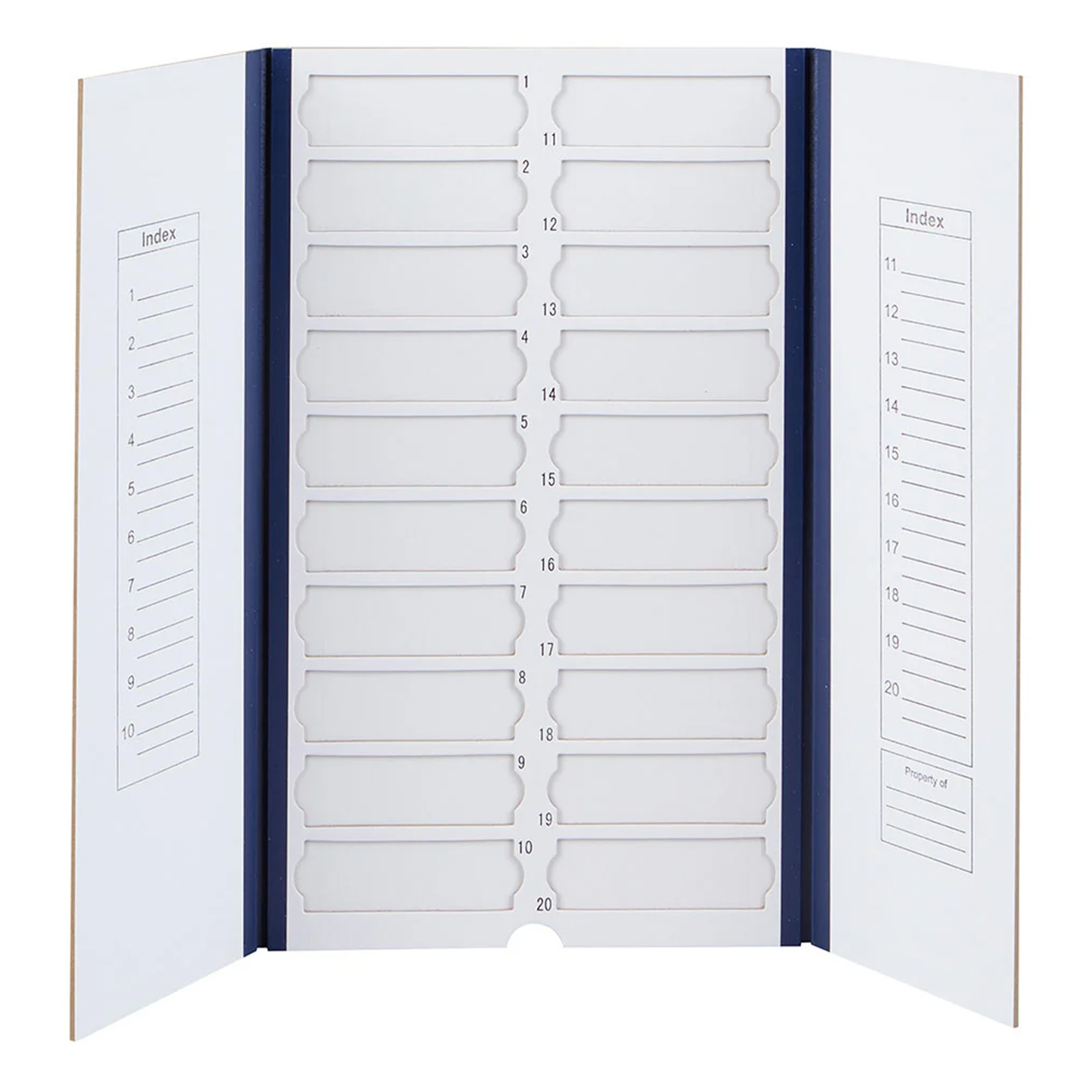 20-Place Cardboard Microscope Slide Mailer - Blue (Per Each)
