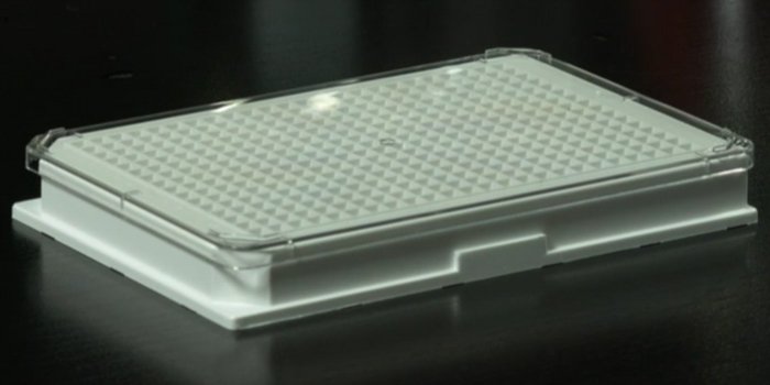 BRANDplates pureGrade S Non-Treated Sterile Surface 384-Well Plate - White , Transparent F-Bottom