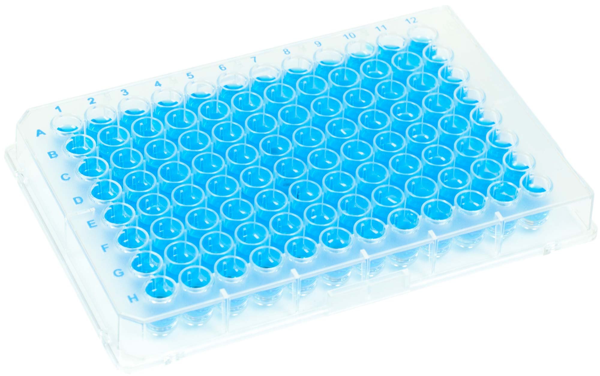 BRANDplates immunoGrade Non-Sterile Treated Surface 96-Well Plate - Transparent, F-Bottom