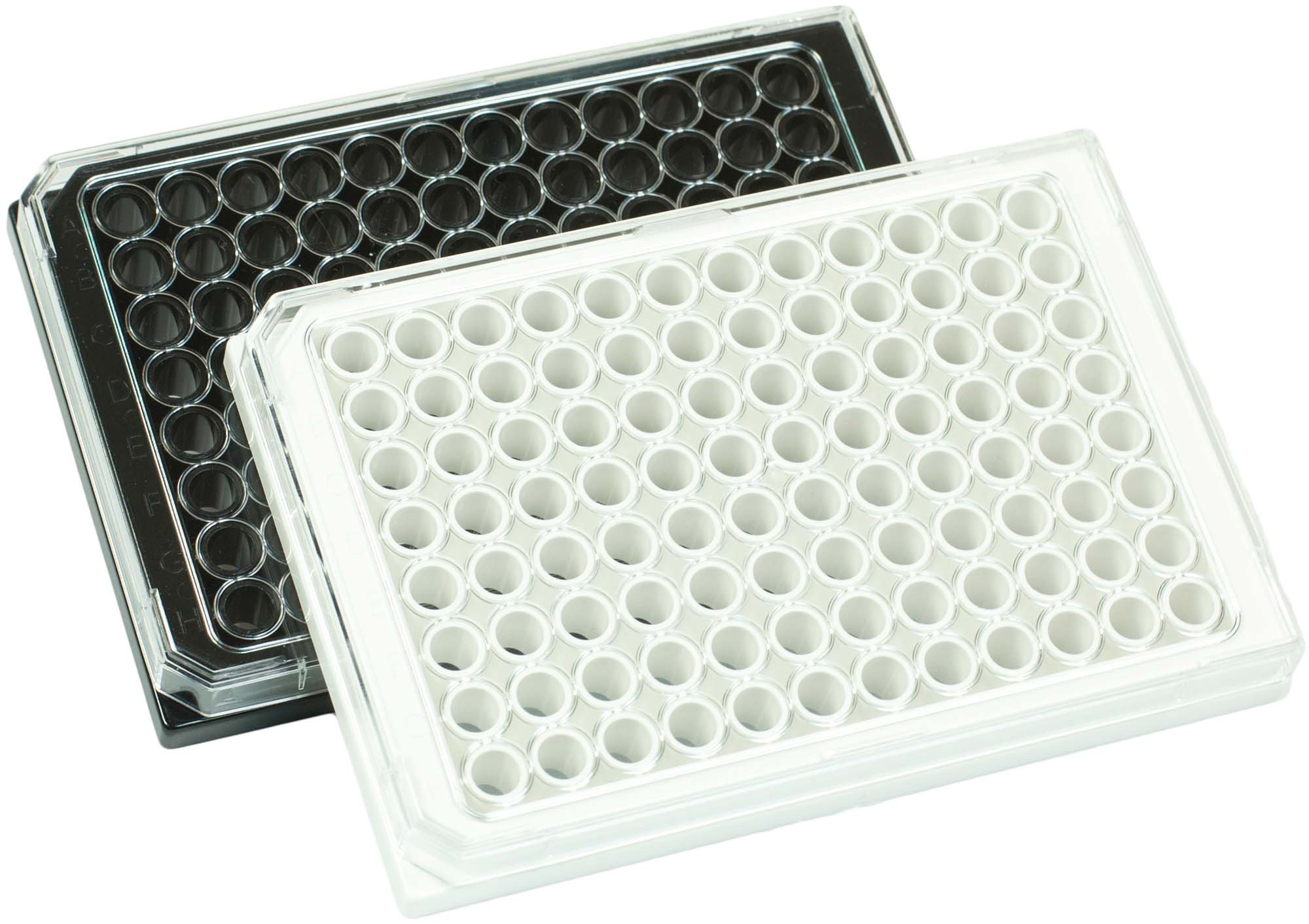 782022-umi_brandplates-96-well 