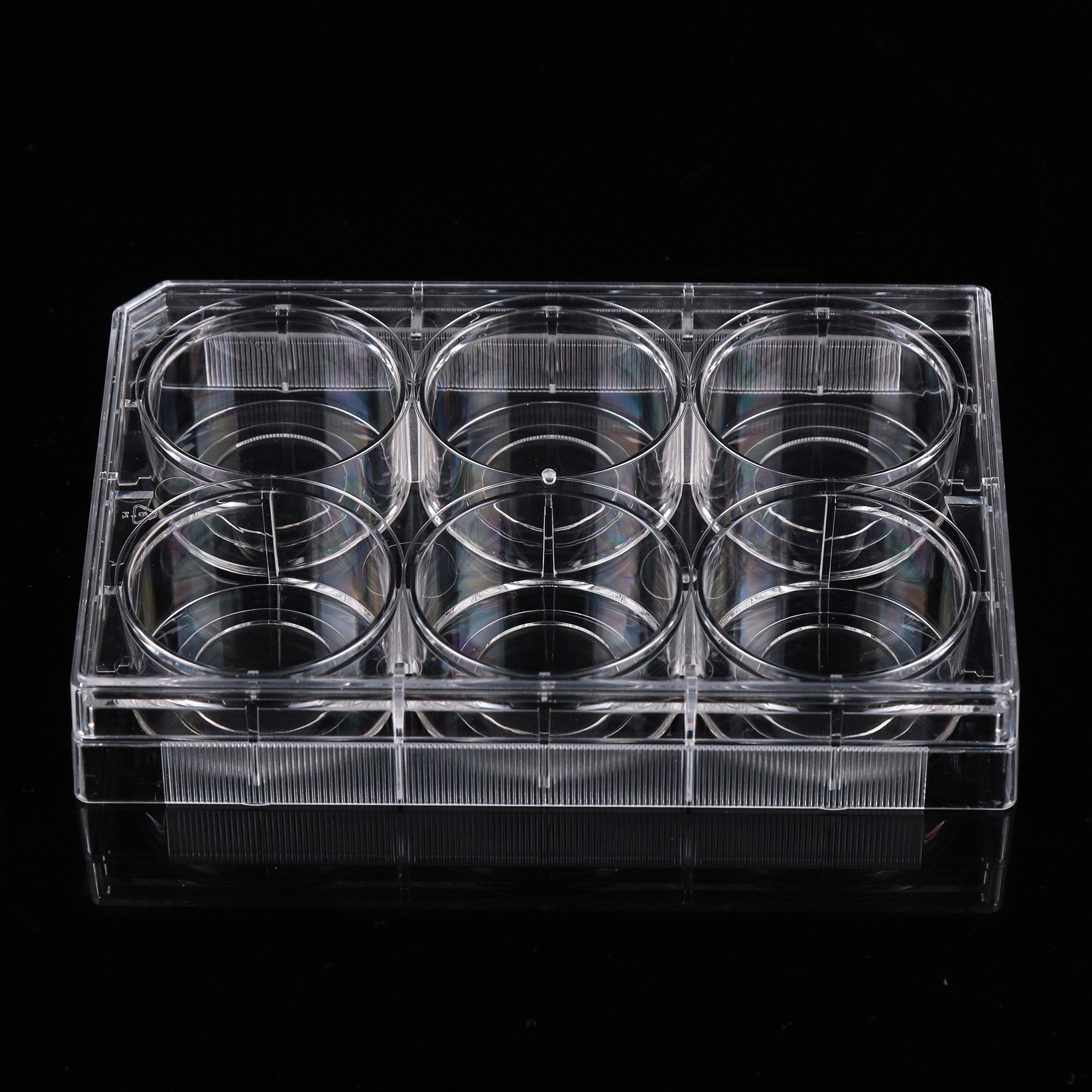 NEST Scientific Glass Bottom Cell Culture Plate