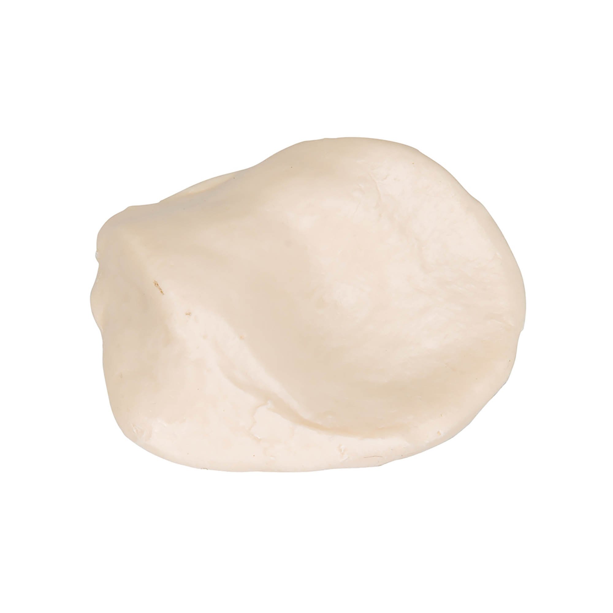 Human Patella