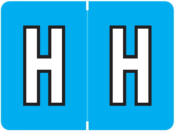 DataFile Match AL8720 Series Alpha Roll Labels - Letter H - Light Blue Label
