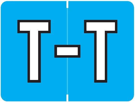 DataFile Match AL8720 Series Alpha Roll Labels - Letter T - Light Blue Label