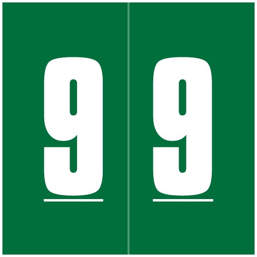 AMES L-A-00178RLP Match AMNM Series Numeric Roll Labels - Number 9 - Green