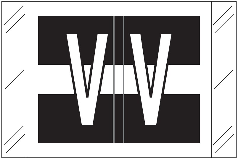 Tabbies 12030 Match CXAM Series Alpha Roll Labels - Letter V - Black and White Label