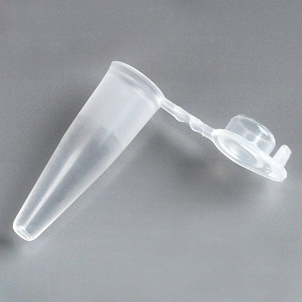 0.2mL PCR Tubes - Thin Wall Polypropylene with Attached Flat Top Cap - Natural