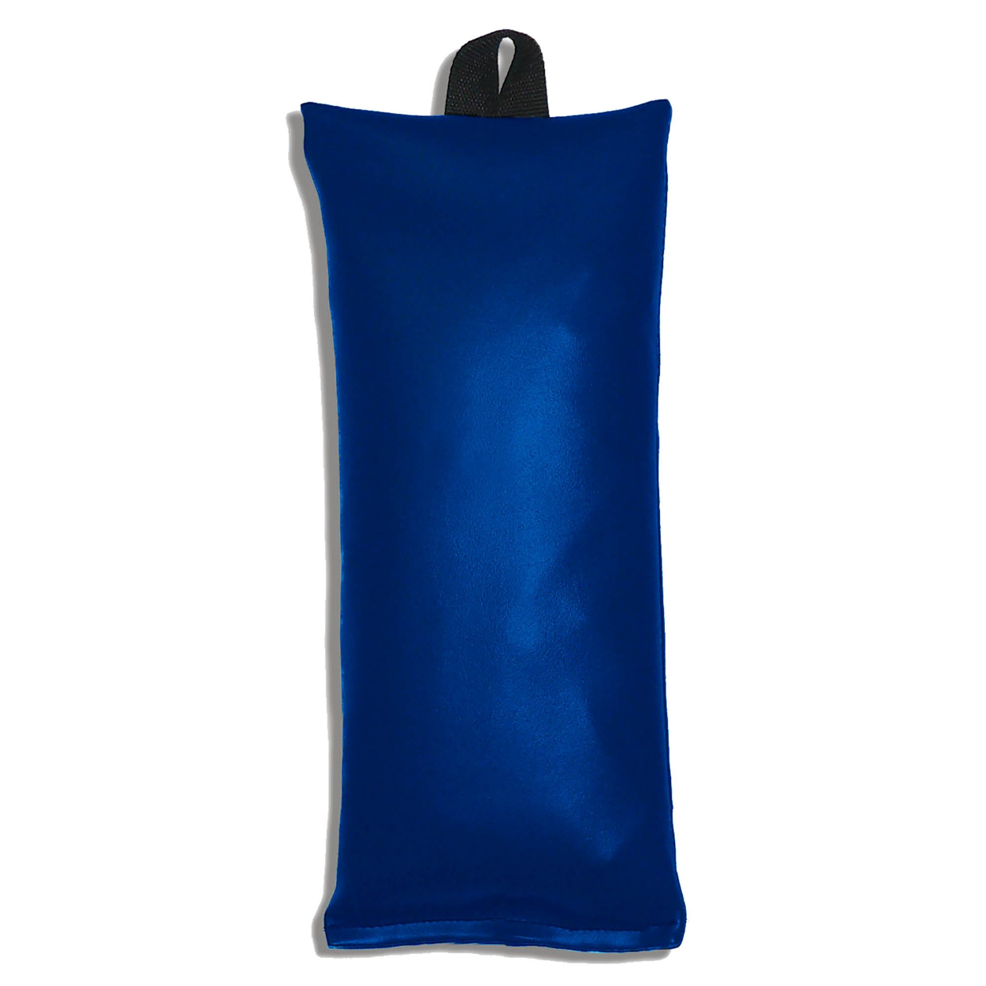 Techno-Aide Blue Heavy-Gauge Vinyl Sandbag with Standard Loop Handle