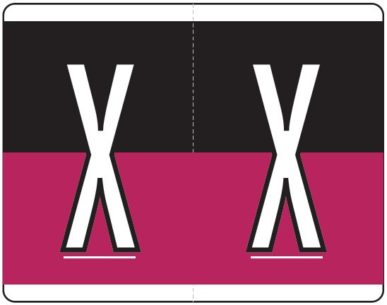 Kardex PSF-139 Match KXAM Series Alpha Roll Labels - Letter X - Black and Purple
