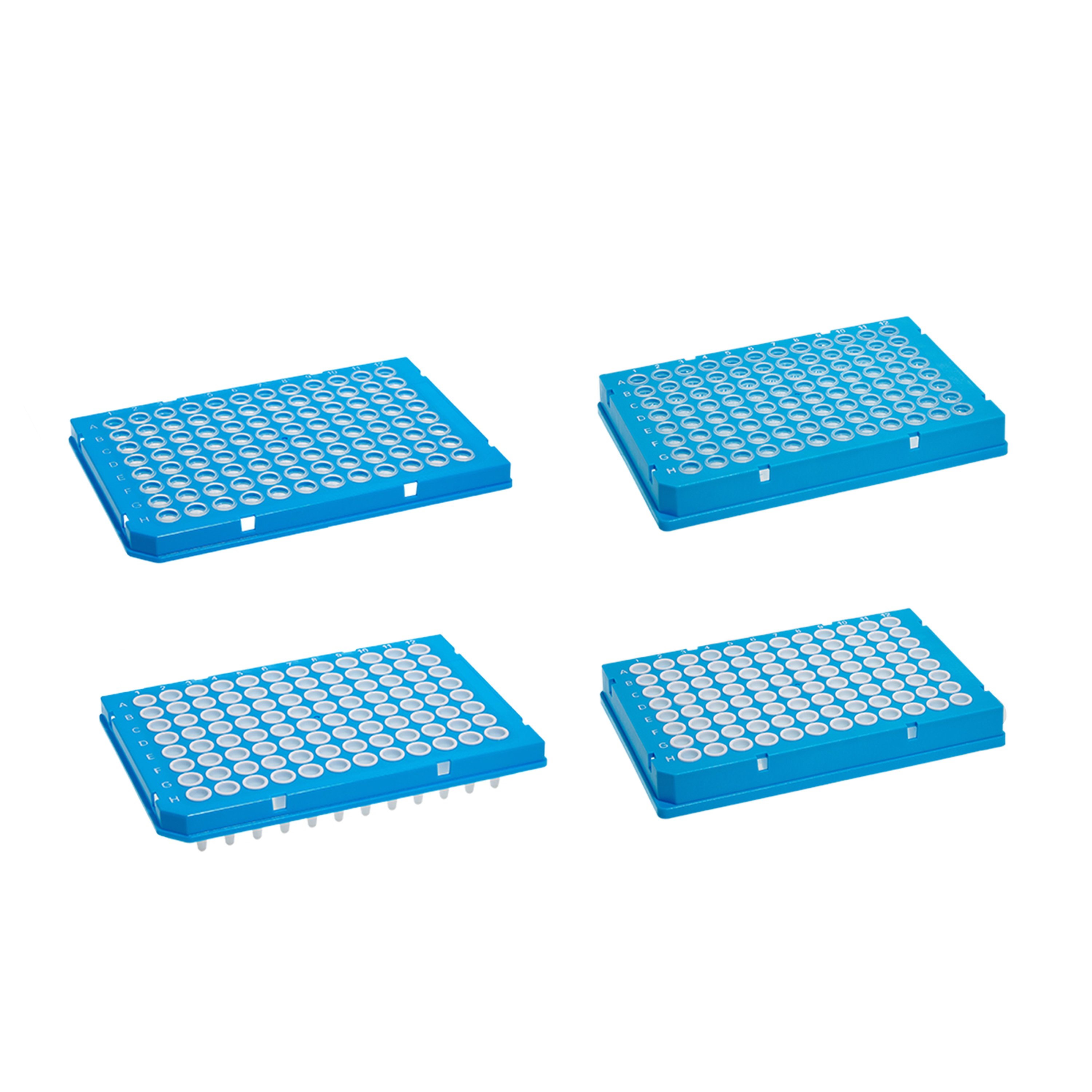 MTC Bio SureFrame 96-Well Two-Component PCR Plates