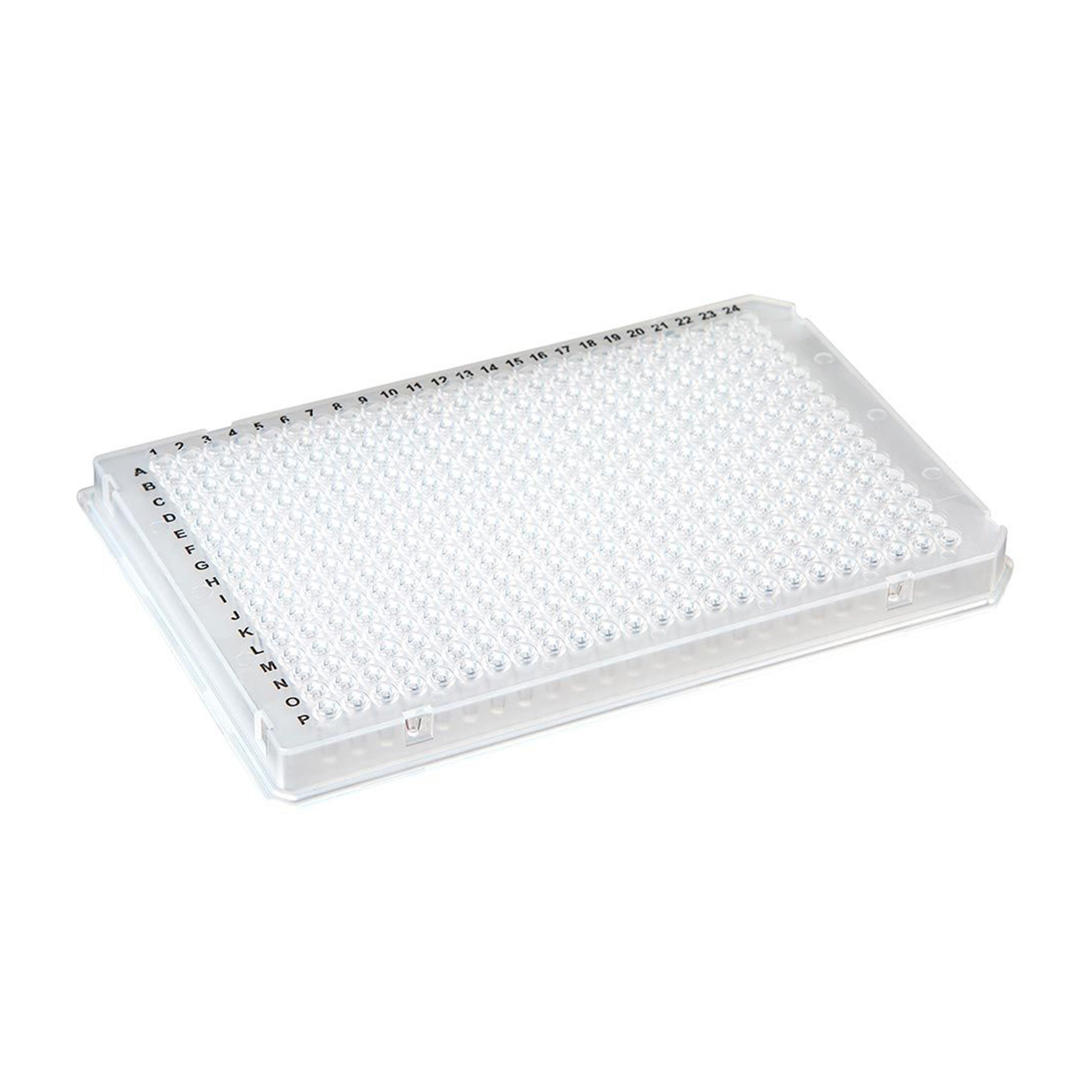 384-Well PCR Plate with A24/P24 Two Notch Design - Clear (Box of 10)