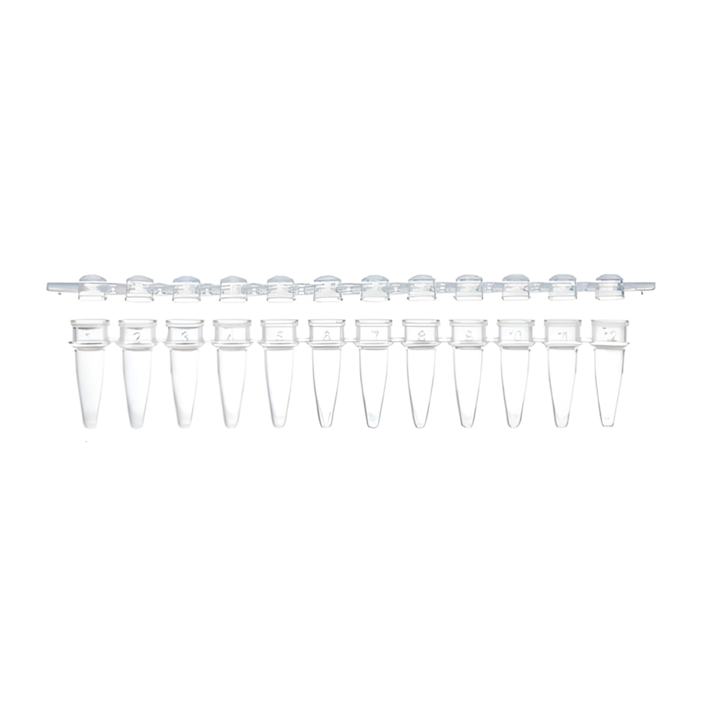 0.2 mL 12-Strip PCR Tube with Separate Cap Strip - Dome Cap (Box of 80)