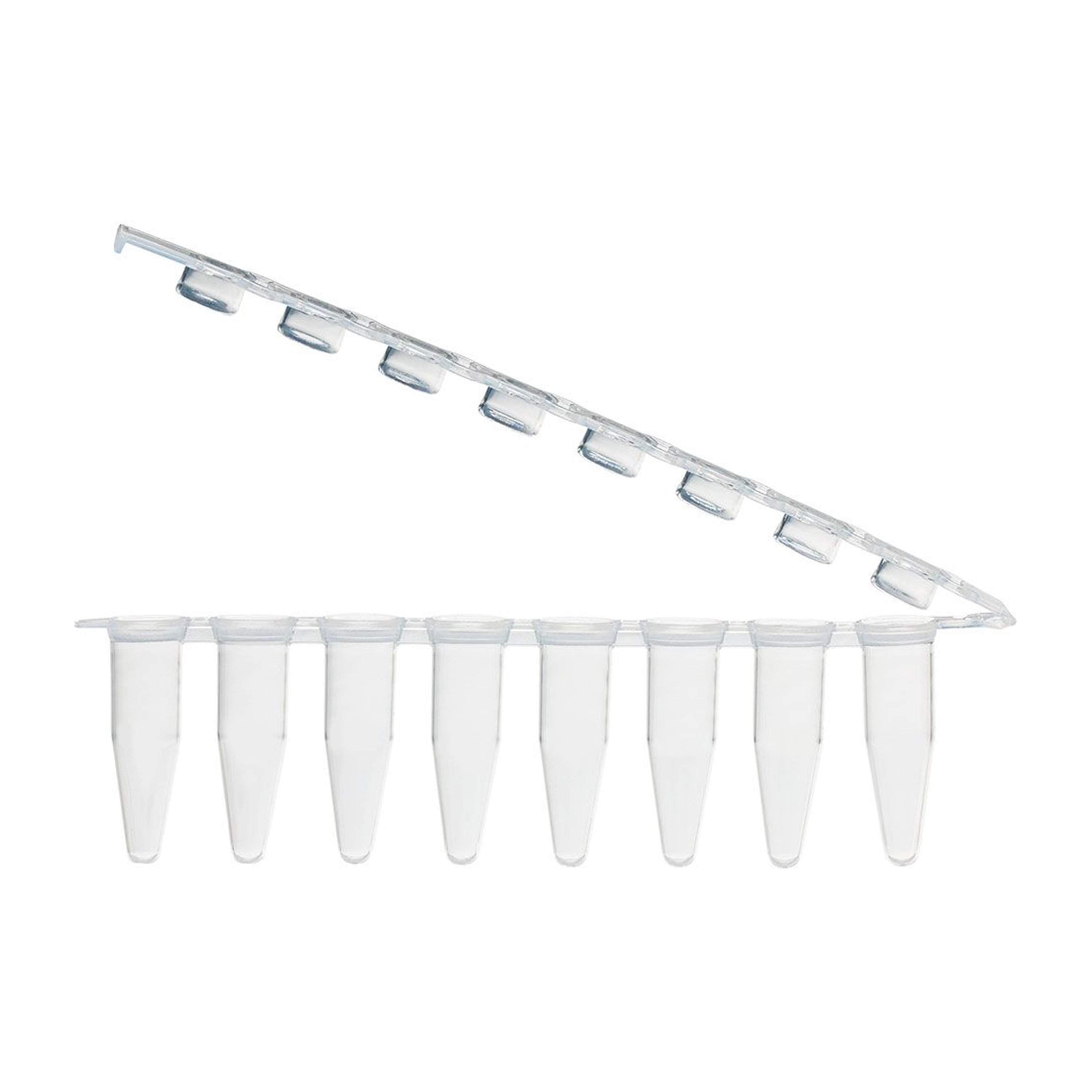 0.2 mL 8-Strip PCR Tube with Hinged Attached Cap Strip - Flat Cap (Box of 125)