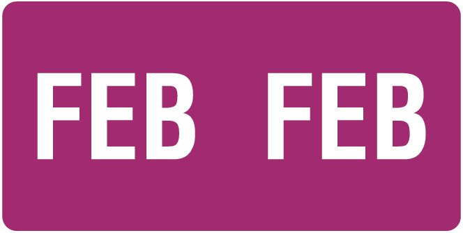 Smead ETS Match SMMK Series Month Code Sheet Labels - February - Purple