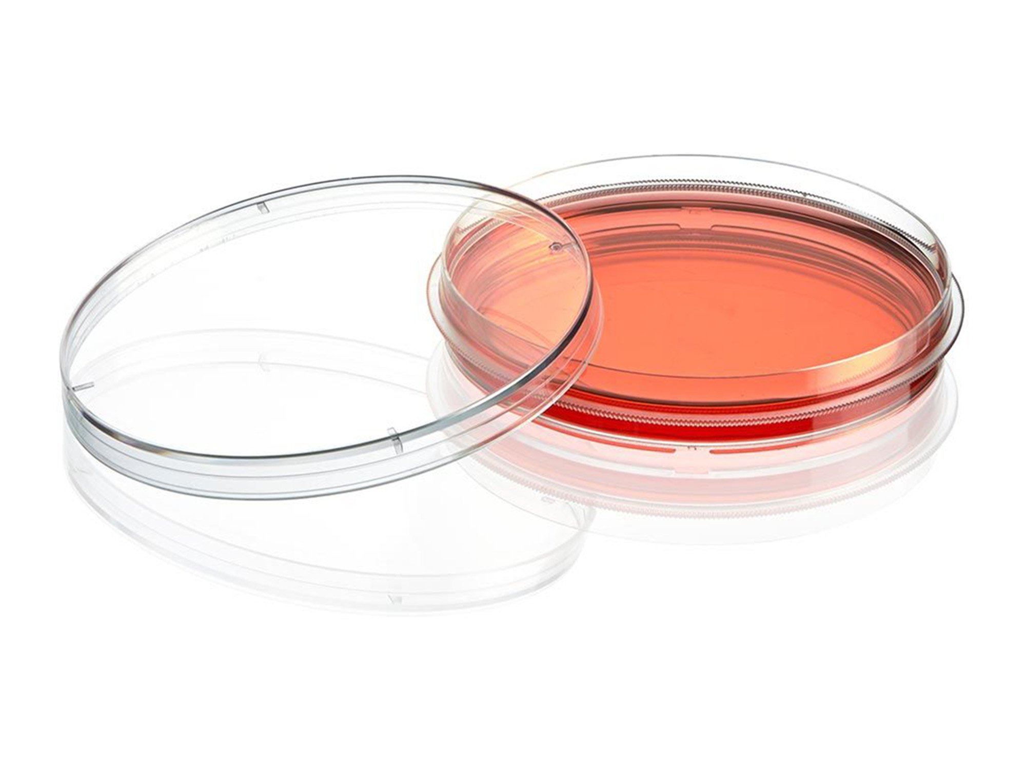 Diamond® SureGro™ Cell Culture Dish, Tissue Culture Treated with Gripping Ring - 100 x 15 mm (Case of 500)