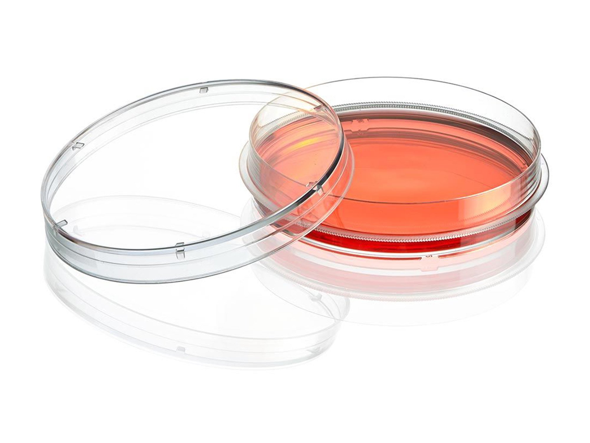 Diamond® SureGro™ Cell Culture Dish, Tissue Culture Treated with Gripping Ring, XL Growth Area - 100 x 20 mm (Case of 300)