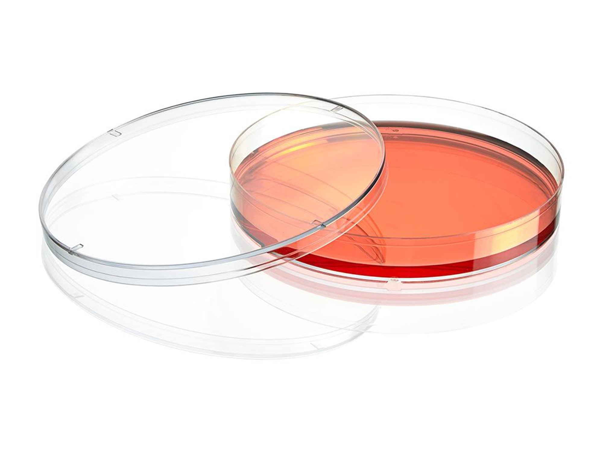 Diamond® SureGro™ Cell Culture Dish, Tissue Culture Treated - 150 x 20 mm (Case of 100)