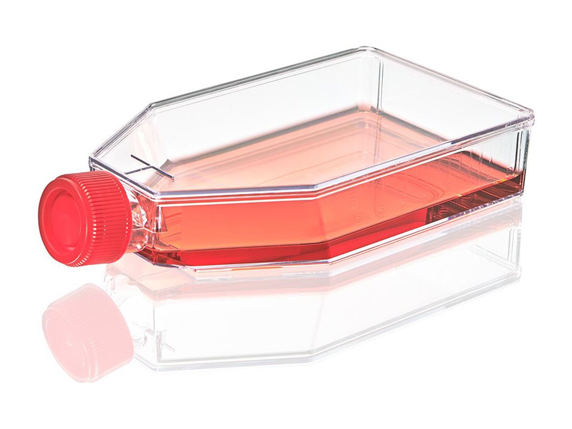 Diamond® SureGro™ Cell Culture Flask, Tissue Culture Treated with Plug Cap - 182 cm² (Case of 40)