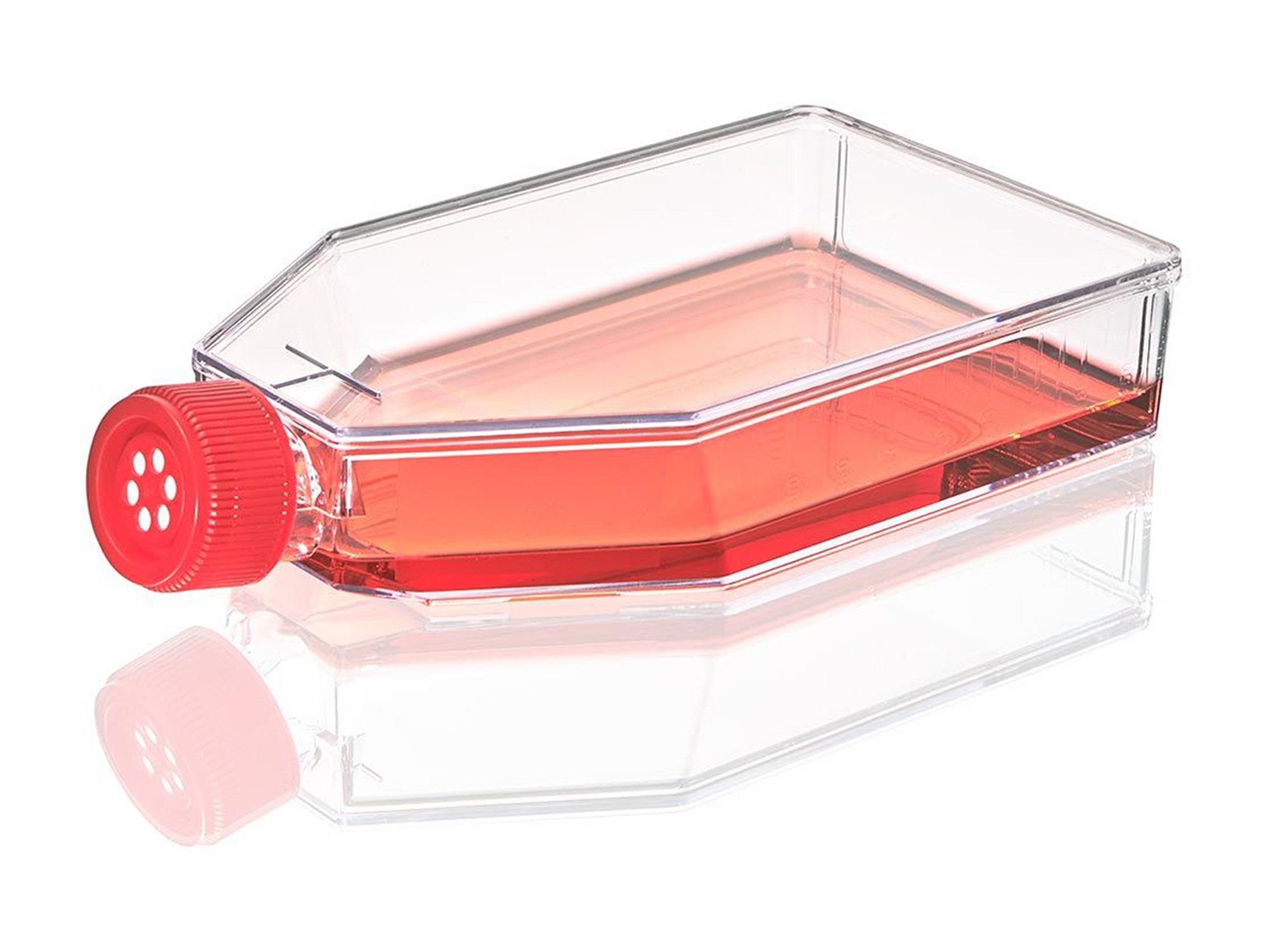 Diamond® SureGro™ Cell Culture Flask, Tissue Culture Treated with Vent Cap - 182 cm² (Case of 40)