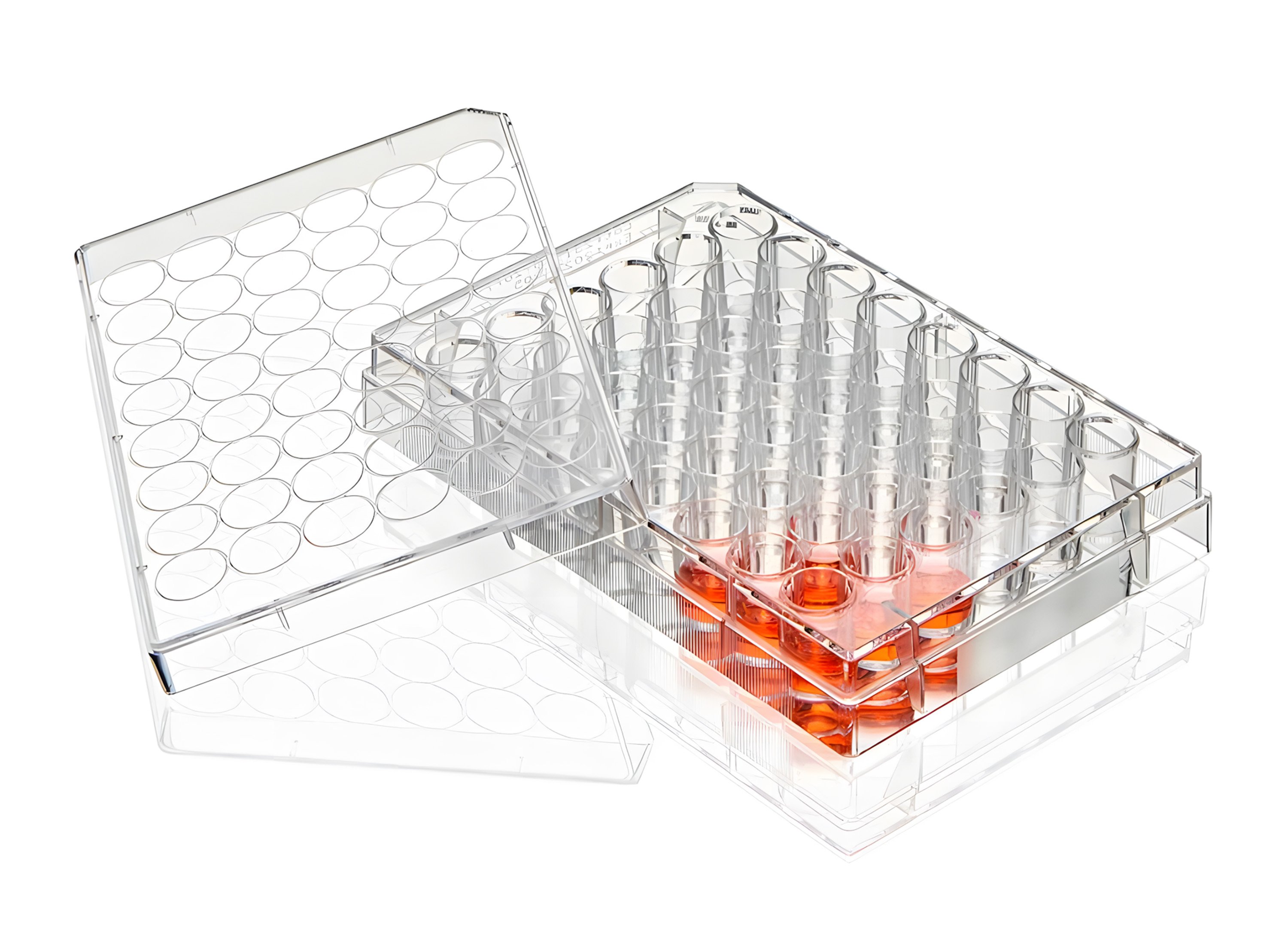 Diamond® SureGro™ Multiple Well Plate, Tissue Culture Treated, Flat Bottom - 48 Well (Box of 50)