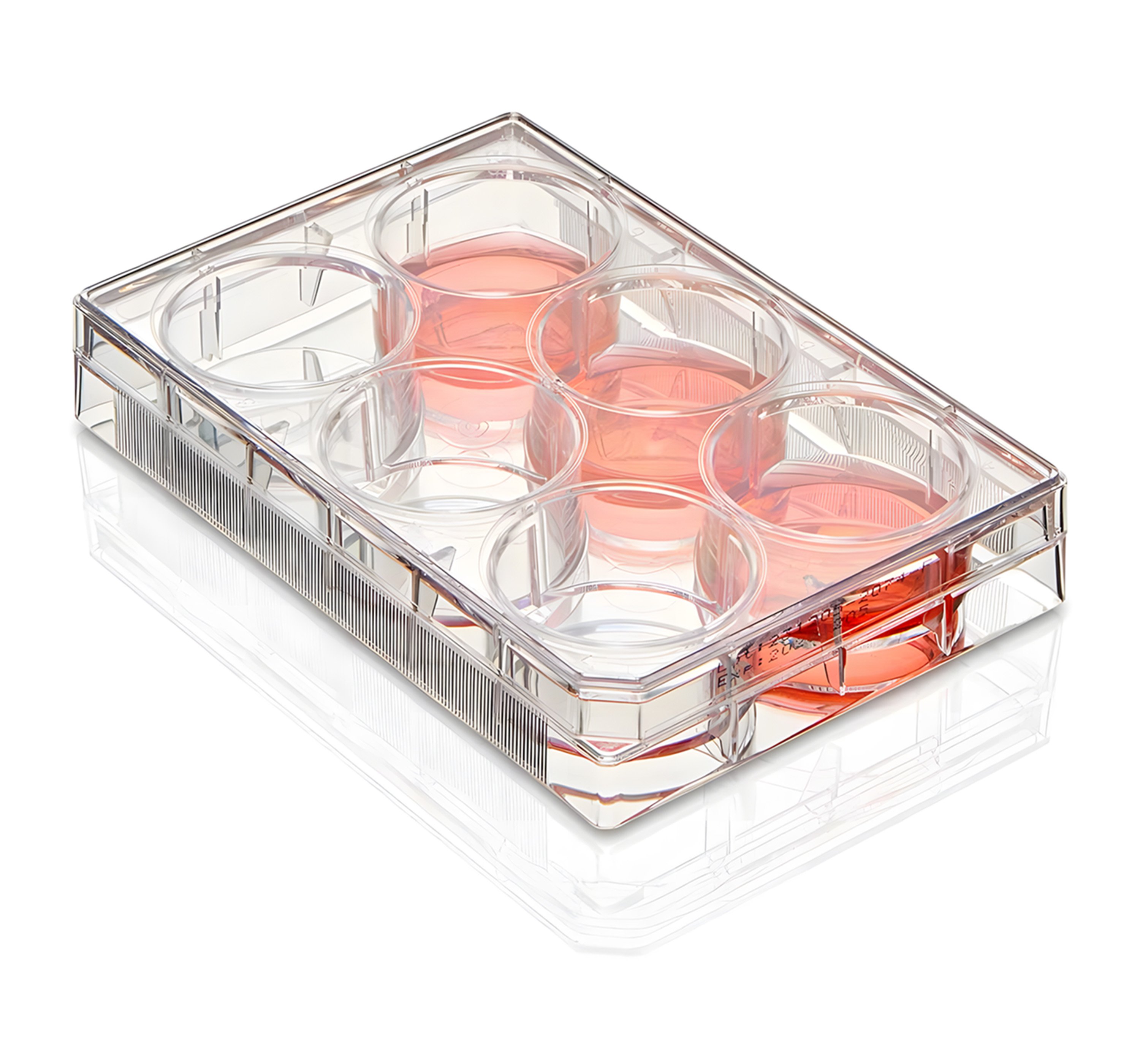 Diamond® SureGro™ Multiple Well Plate, Tissue Culture Treated, Flat Bottom - 6 Well (Box of 50)