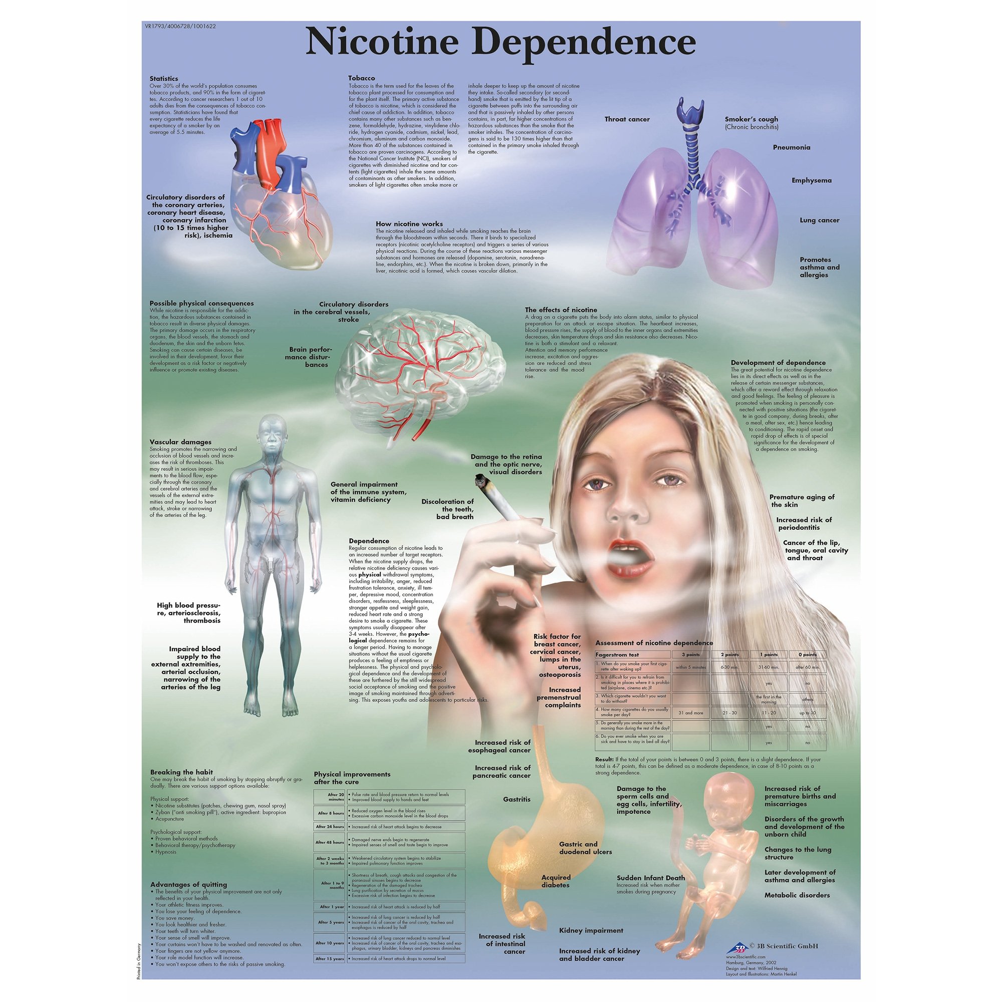 spitless tobacco brands 7 Best Nicotine Pouch Brands of 2026: Top Picks and Deals