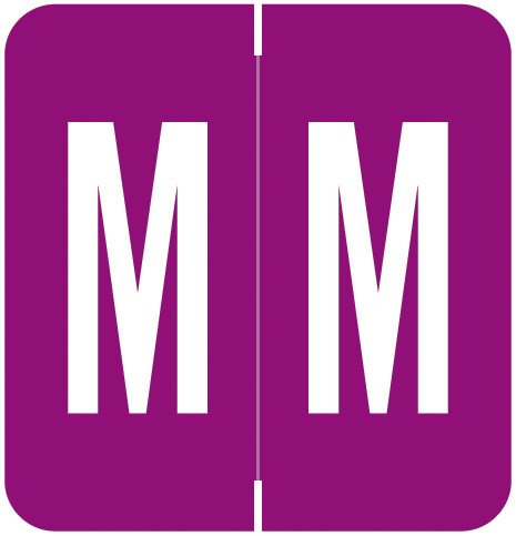 VRE GBS 8850 Match VRAM Series Alpha Roll Labels - Letter M - Purple