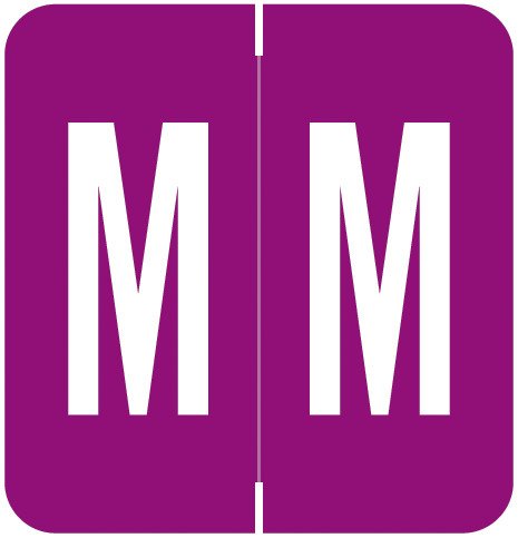 VRE GBS 8850 Match VRAM Series Alpha Roll Labels - Letter M - Purple