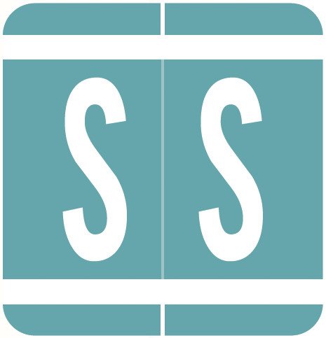 VRE GBS 8850 Match VRAM Series Alpha Roll Labels - Letter S - Light Blue