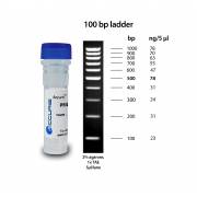 Accuris SmartCheck 100bp DNA Ladder, 5 x 500ul / 500 lanes