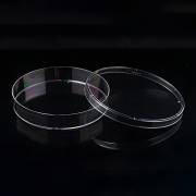 Cell Culture Dish - 60 mm (Bag of 20, Case of 500)