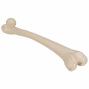 Human Femur - 3B Smart Anatomy