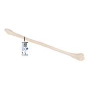 Human Fibula - 3B Smart Anatomy