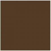 Ames L-A-00178 AMLP Series Solid Color Roll Labels - Brown