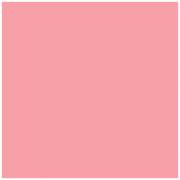 Ames L-A-00178 AMLP Series Solid Color Roll Labels - Pink