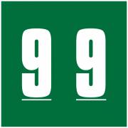 AMES L-A-00178RL Match AMNP Series Numeric Roll Labels - Number 9 - Green