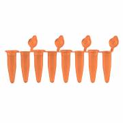 PureAmp™ 0.2mL PCR 8-Tube Strips with Attached Individual Flat Caps, Orange (Pack of 120)