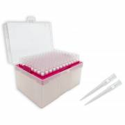 Pipette Tips - 300uL, Sterile, Filtered, Pack of 960 Tips (10 Racks of 96 Tips)